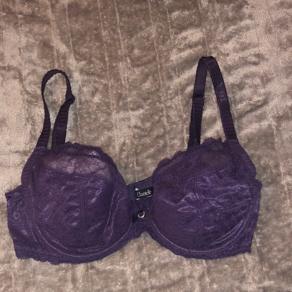 Chantelle Purple Lace Bra